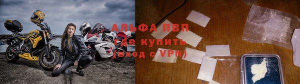 ПСИЛОЦИБИНОВЫЕ ГРИБЫ Пестово