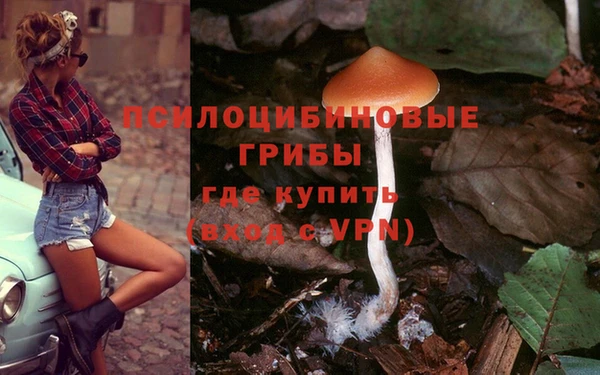 кокс Переславль-Залесский