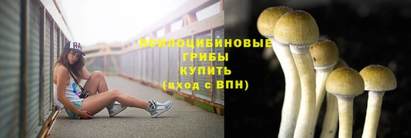 ПСИЛОЦИБИНОВЫЕ ГРИБЫ Пестово