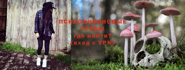 ПСИЛОЦИБИНОВЫЕ ГРИБЫ Пестово