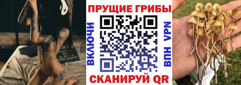 Галлюциногенные грибы ЛСД  Тимашёвск 